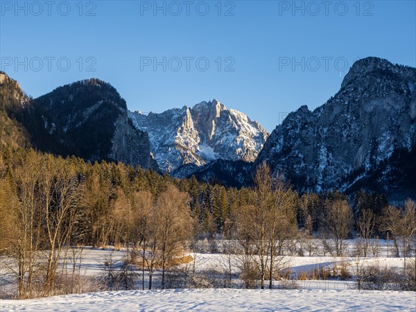 Winter landscape