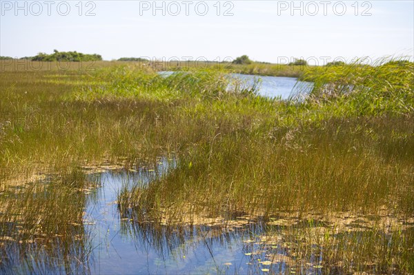 Swampland