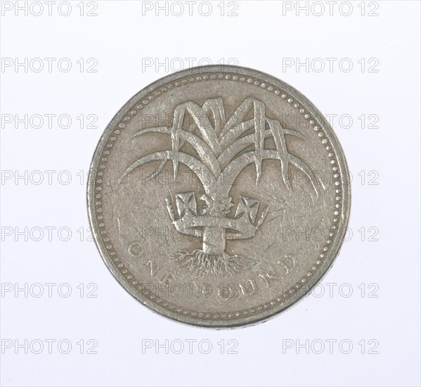 Coin