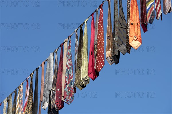 Ties hung on a leash from an action for peace by Soroptimist International