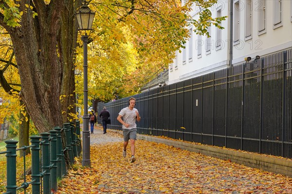 Joggers on Bellevue bank