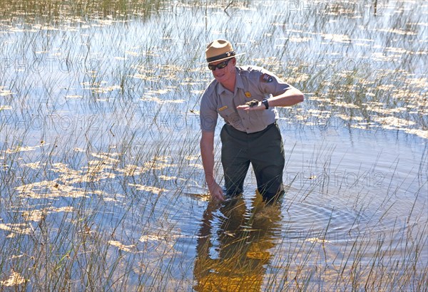 Ranger explains the swampland