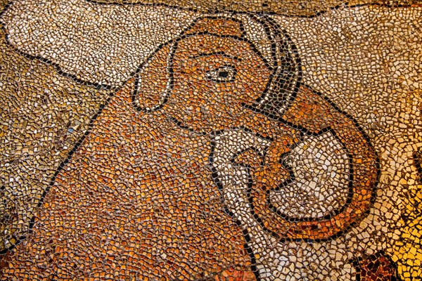 Floor mosaic in the Cathedral dell' Annunziata