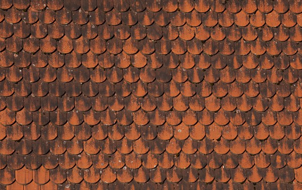 Detail of a red old tiled roof