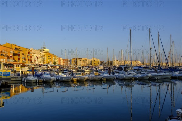 At the port