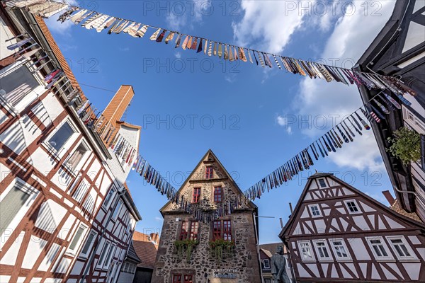 Ties hung on a leash from an action for peace by Soroptimist International