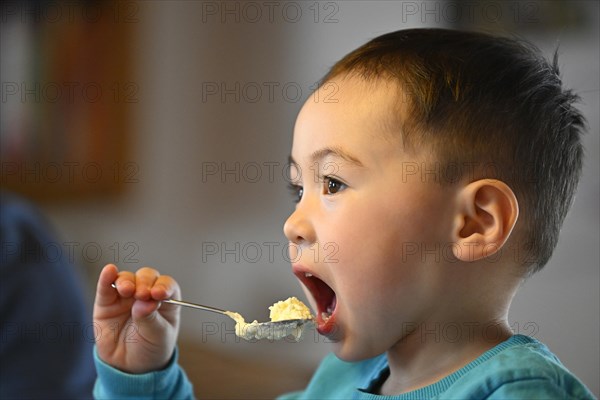 Boy