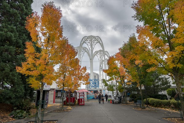 Street with autumnal trees