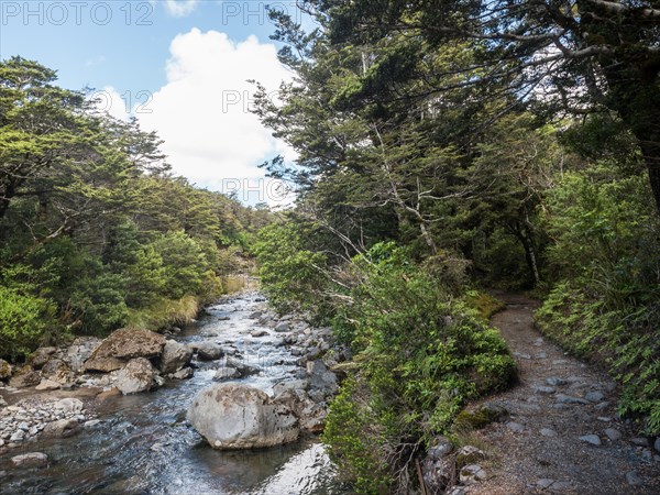 Taranaki Falls Track