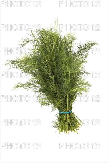Dill