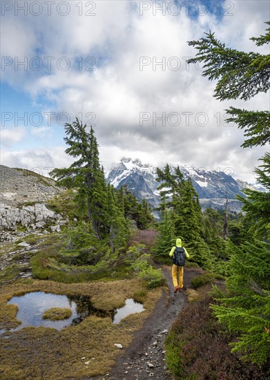 Hikers on trail on Table Mountain