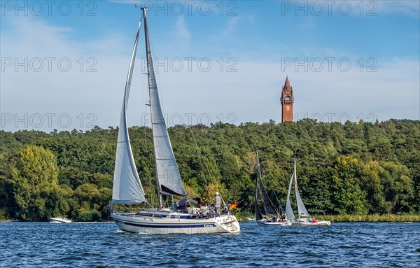 Sailboats