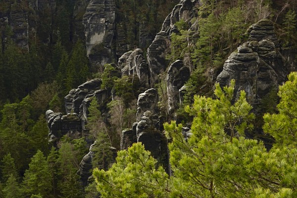Elbe Sandstone Mountains