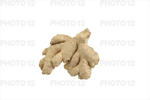 Ginger