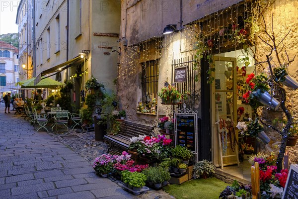 Twilight in the alleys
