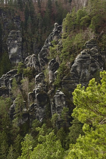 Elbe Sandstone Mountains