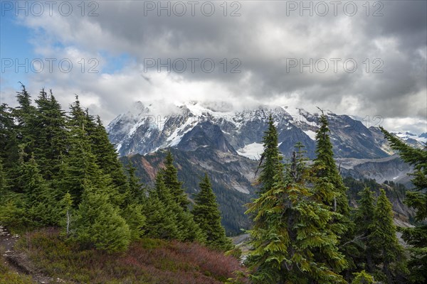 View from Table Mountain of Mt. Shuksan with snow and glacier