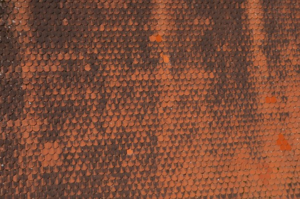 Detail of a red old tiled roof