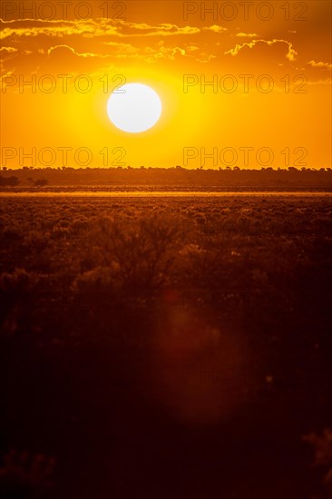 Sunset in the Central Kalahari Game Reserve