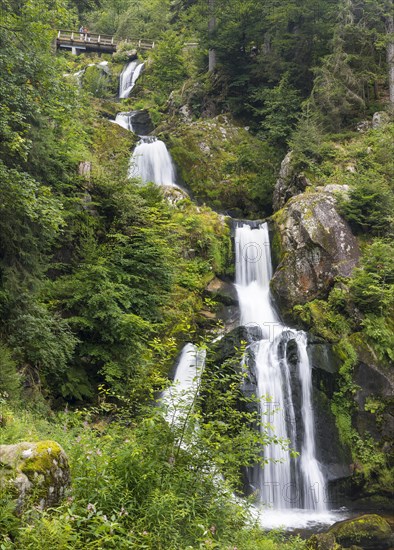 Triberg Waterfalls
