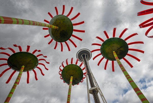 Glass flowers and Space Needle