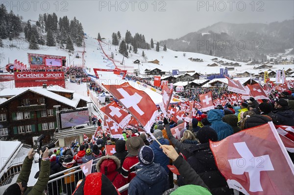 Swiss fans with flags