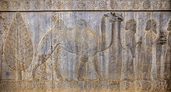 Relief detail of the delegation of nations bringing gifts to Darius on the steps of Apadana Palace