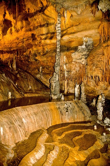 Grotta del Fico