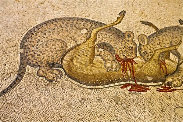 Mosaic Museum