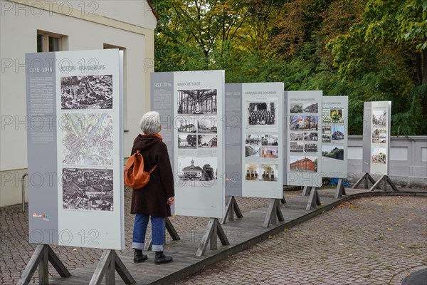Exhibition History