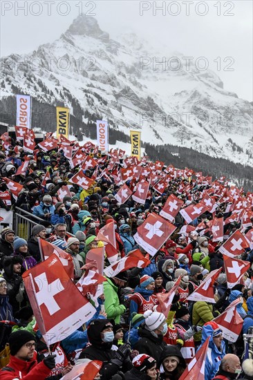 Swiss fans with flags