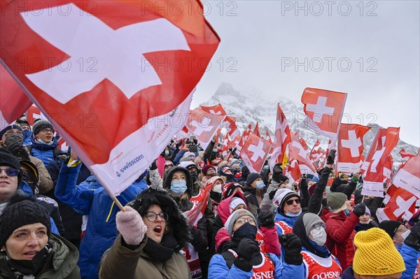 Swiss fans with flags