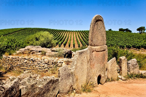 Gigantic tomb of Coddu Vecchiu