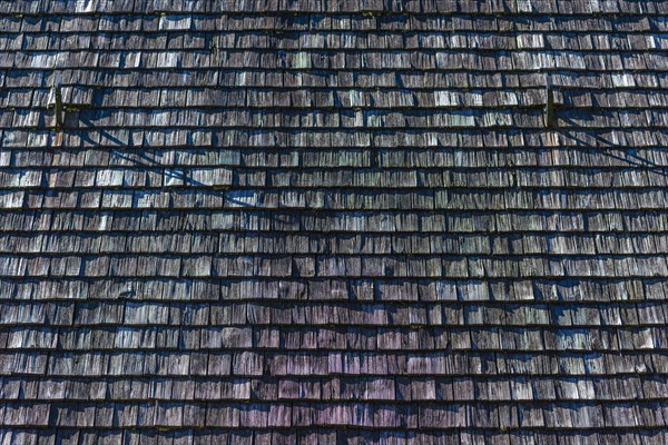 Wooden roof of the boat shed