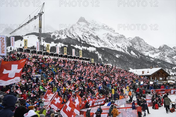 Swiss fans with flags
