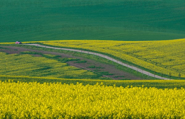 Beautiful and colorful abstract landscape