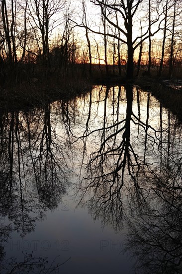 Evening mood at the lake