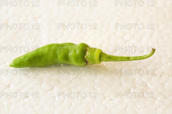 Fresh small green chili