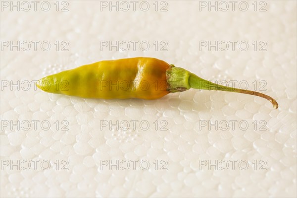 Fresh ripe small chili