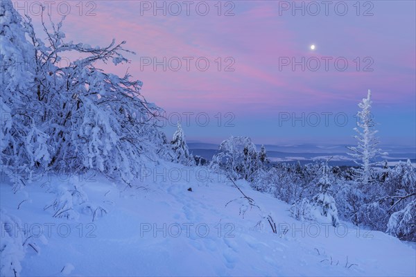 Snow Covered Winter Landscape at Dawn. Grosser Feldberg