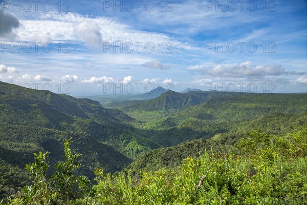 Black River Gorges National Park