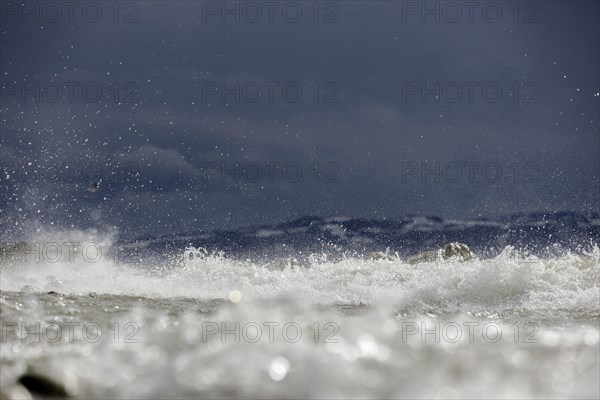 Storm Lolita raging on the stony shore in Hagnau