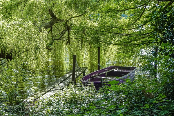 Havelinsel Maienwerder