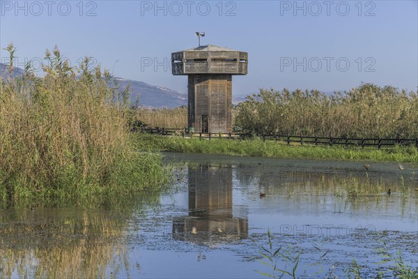 Observation tower