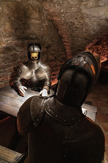 Knight's armour