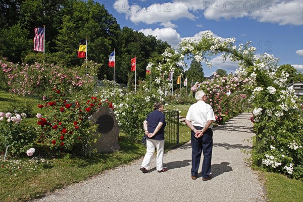 Rose garden on the Beutig on Moltkestrasse