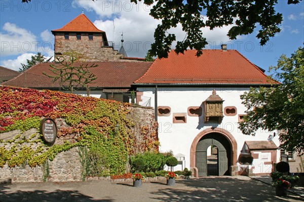 Schloss Eberstein Winery