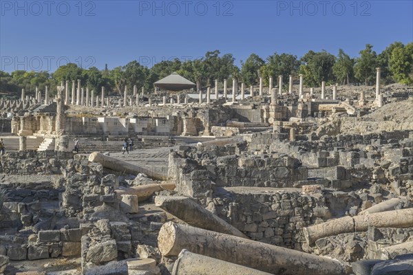 Excavation site site Bet She'an