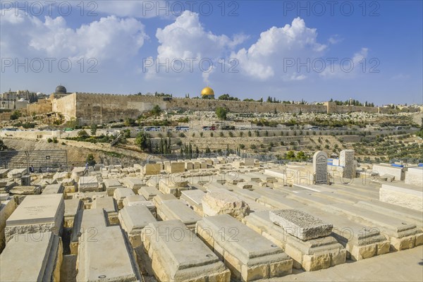 City panorama