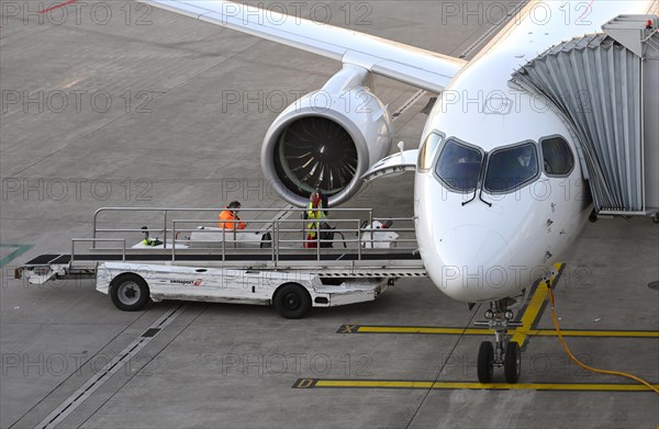Mobile conveyor belt system ground staff